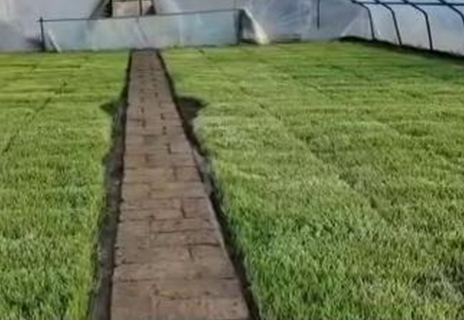 菌安天下案例展示