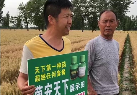 菌安天下案例展示