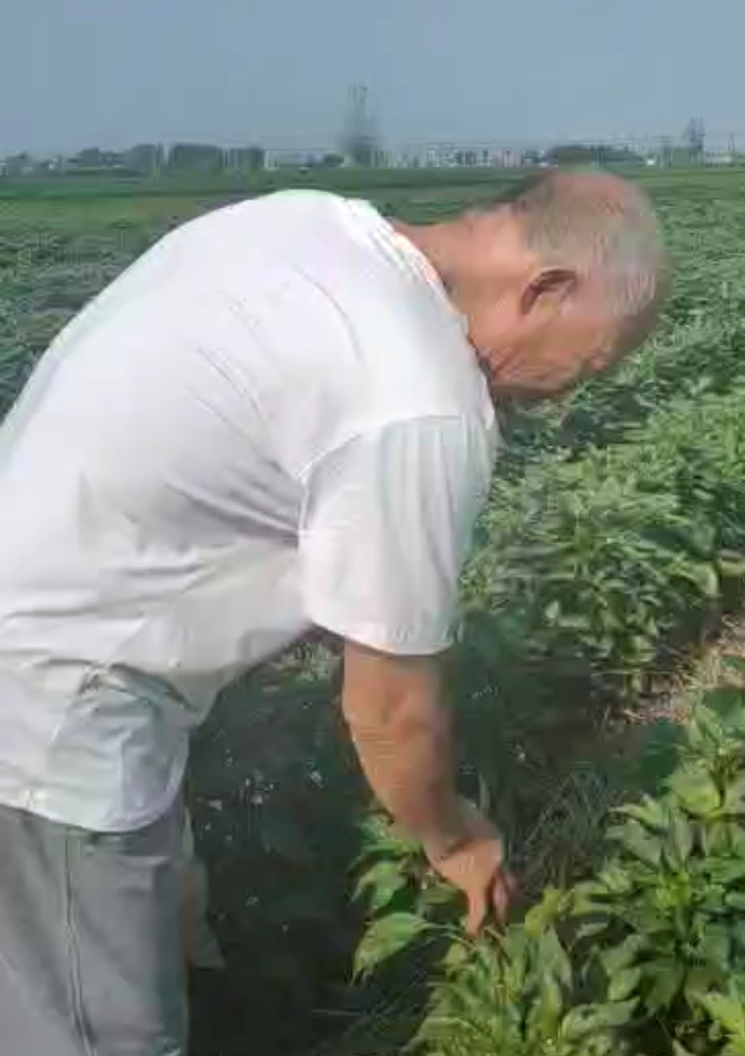 菌安天下案例展示
