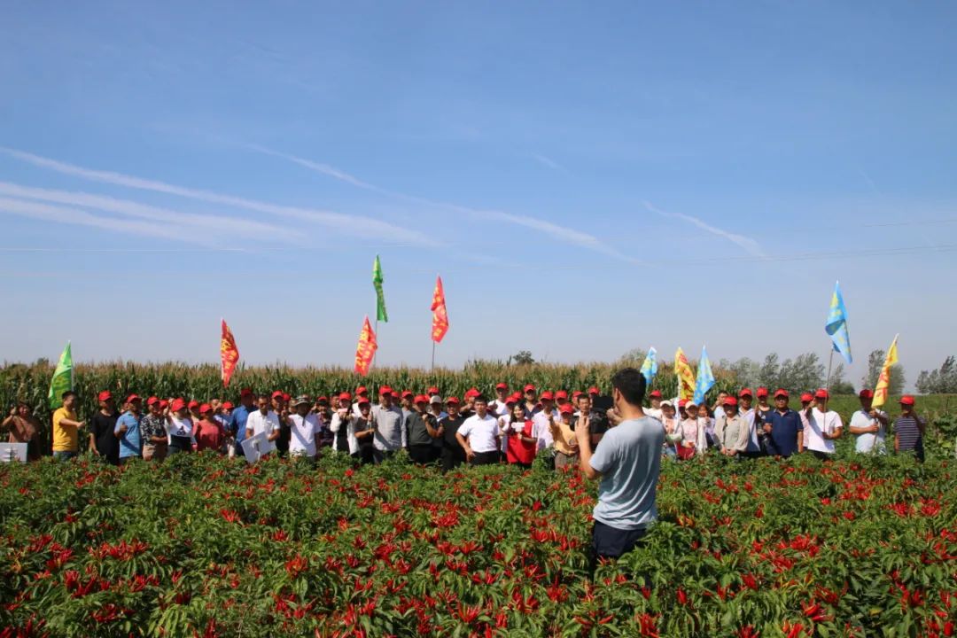 微信图片_20201009150155.jpg