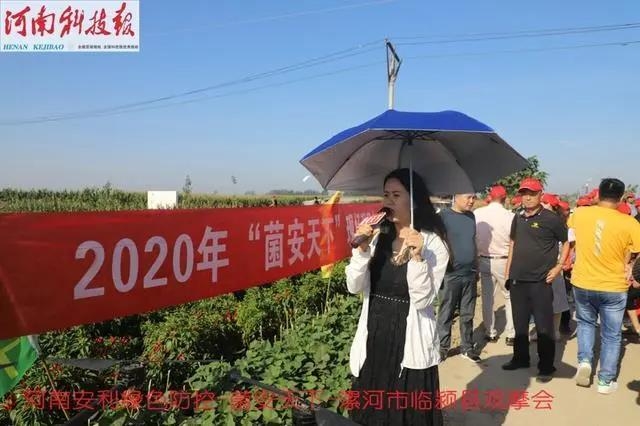 【菌安天下】生物菌辣椒高产观摩会在河南临颍县成功举办