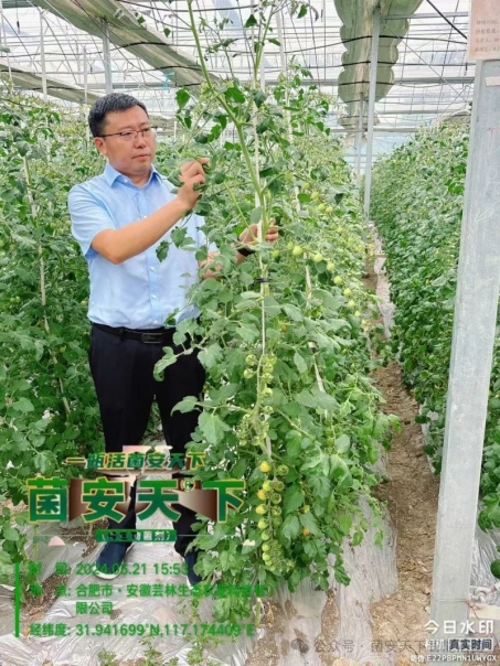 告别农药依赖，拥抱《菌安天®下》奔赴绿色丰收！            菌安天下智能活菌     2025年04月11日 15:11 河南