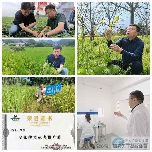 从科研到市场 农业创新征程上的逐光者——《菌安天®下》胡鉴采访记