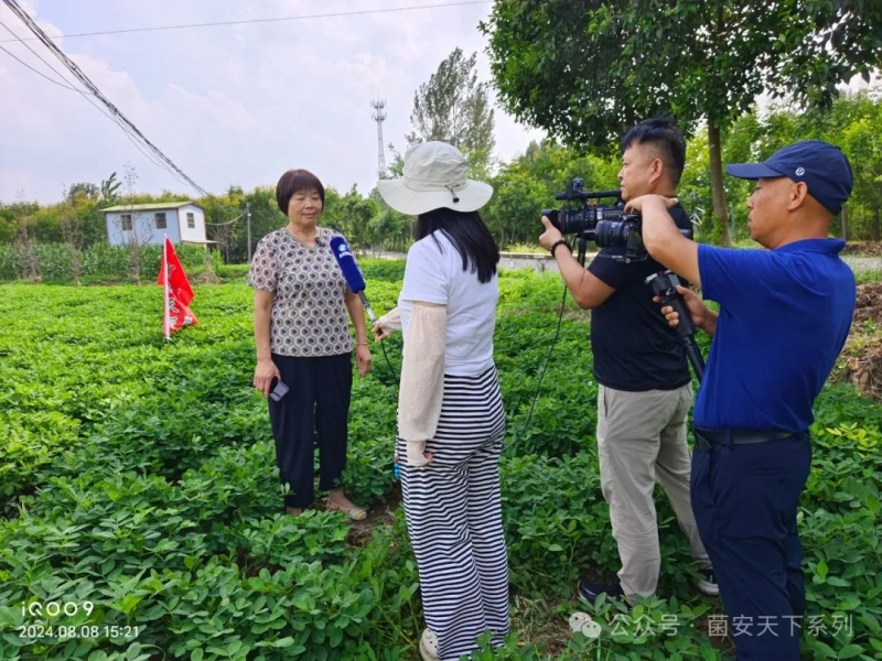 菌安天®下扎根社旗沃土，科技赋能奏响丰收乐章