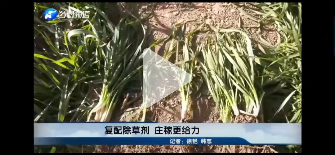 微信图片_20250605140659.jpg