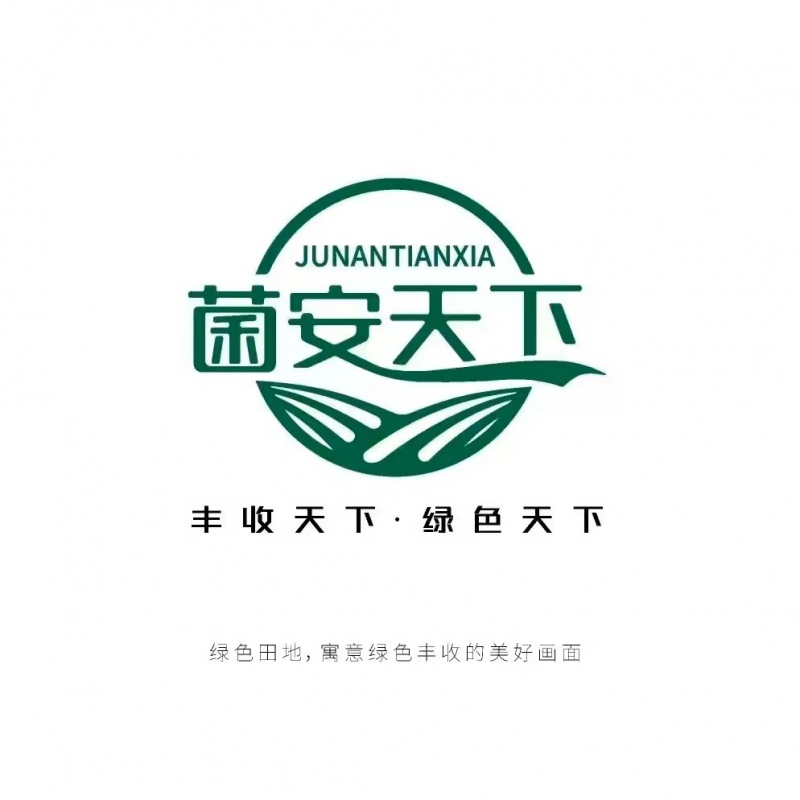 与我们合作，帮你打造爆品，快速占领市场！