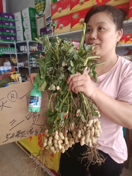 解锁花生丰收新密码！这项管理技术超实用！