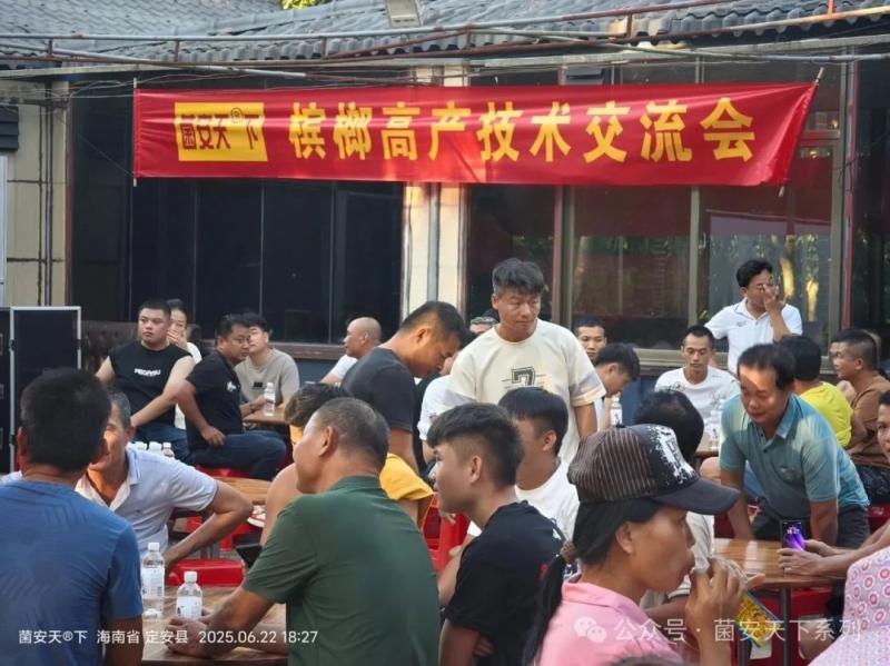 万棵槟榔园实现高产优品，观摩团连连称奇，究竟发生了什么？